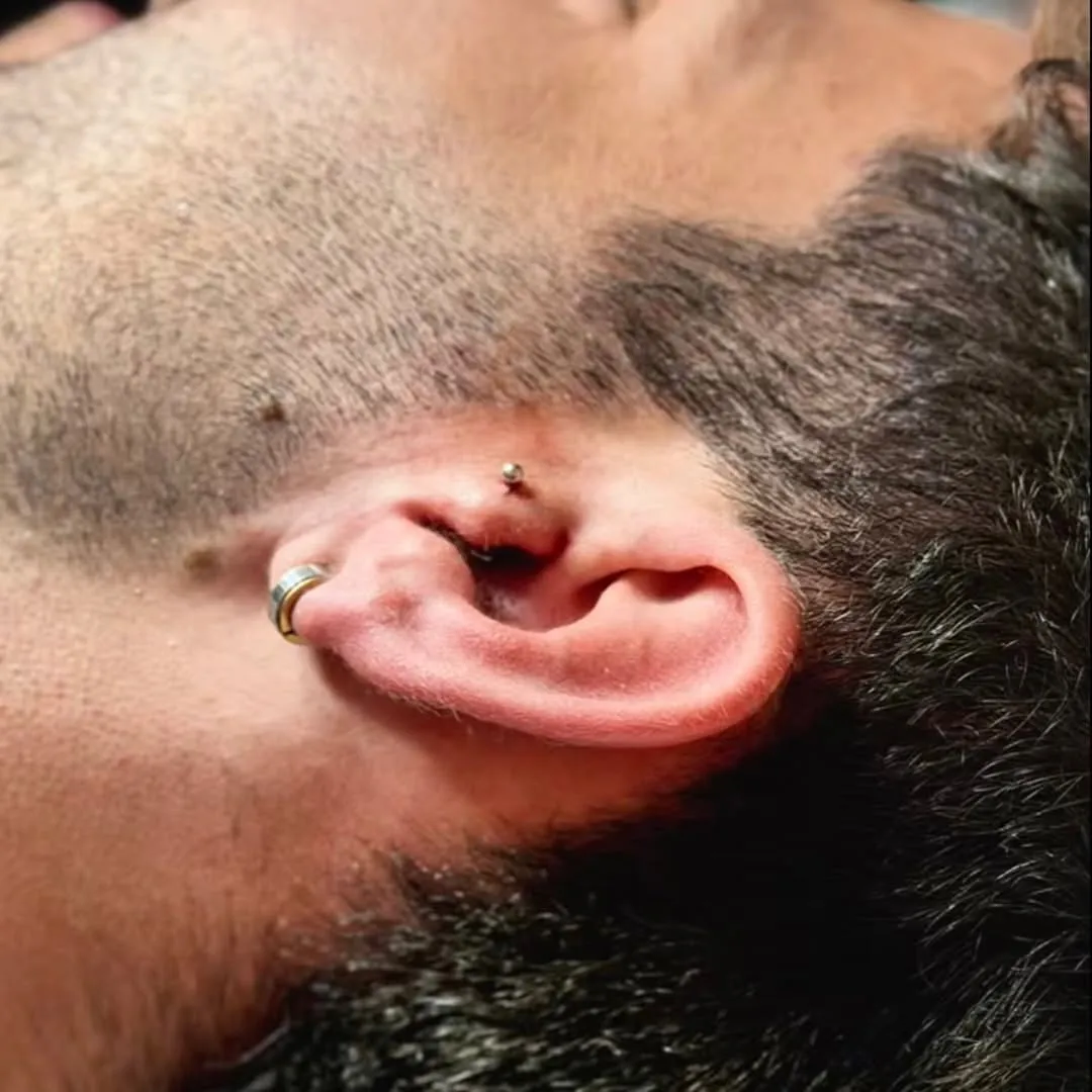 Piercing conch en la oreja recién hecho en el estudio